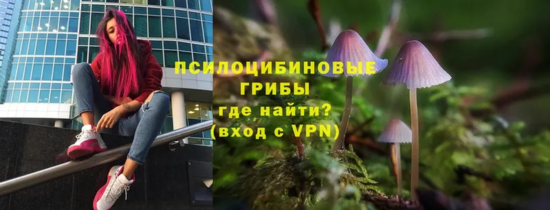 Псилоцибиновые грибы Magic Shrooms  кракен   Искитим 